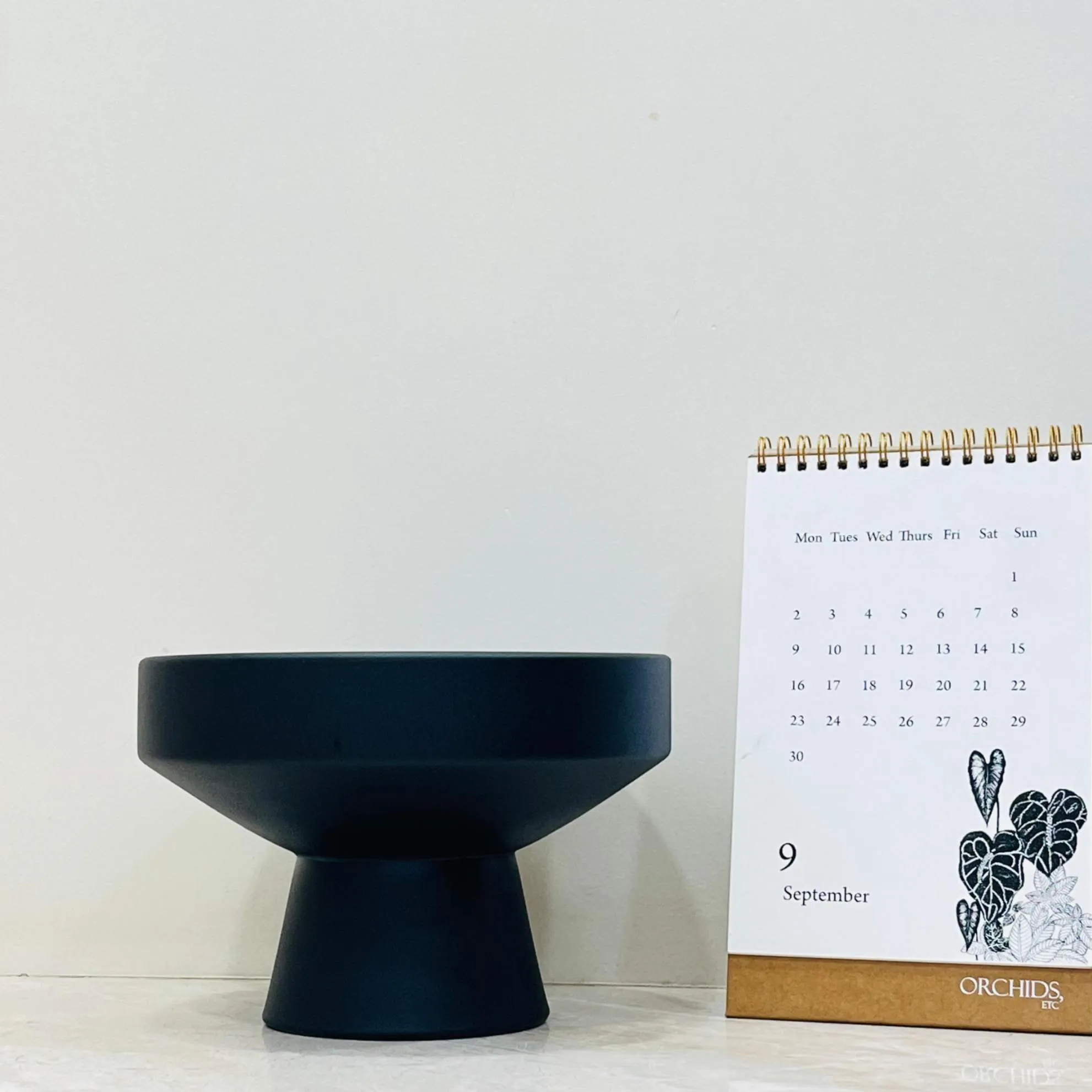 Contemporary Black Bowl-Shaped Planter