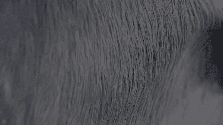 Italian Hair-On Solid Dyed Cowhide
