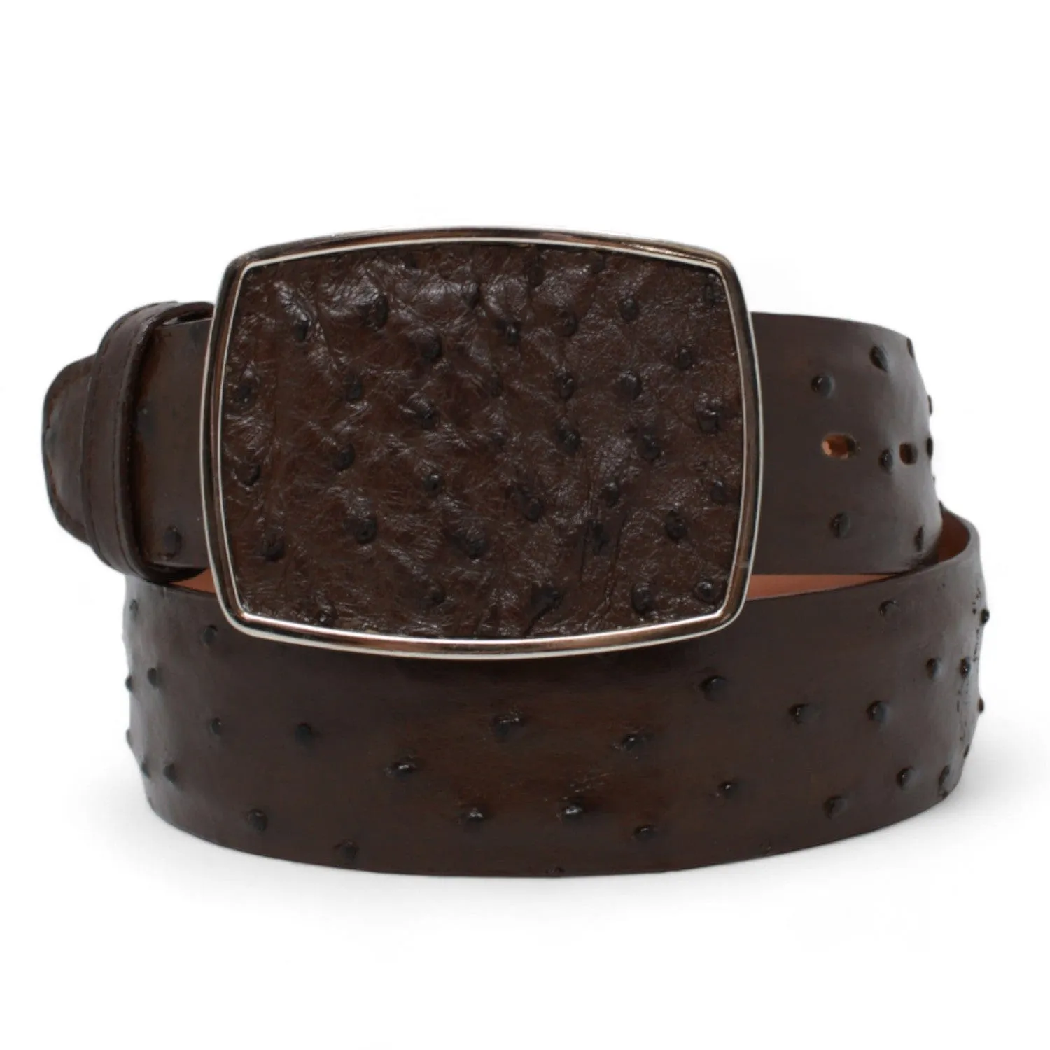 Men's Los altos Ostrich Cowboy Belt Brown